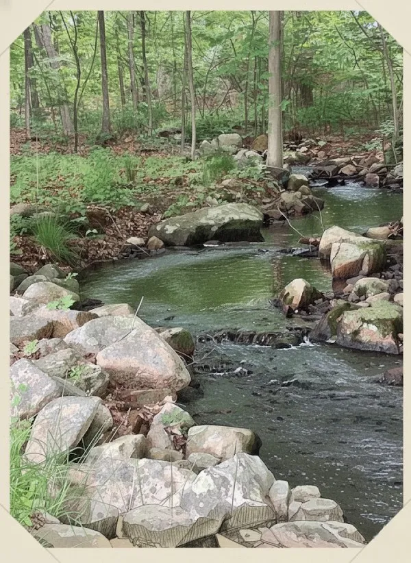 Brook and wooded homestead landscape at Brookside Farm Southborough Massachusetts